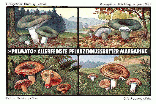 Reklamebild