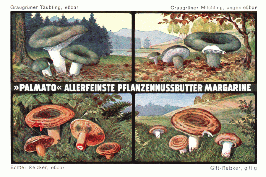 Reklamebild