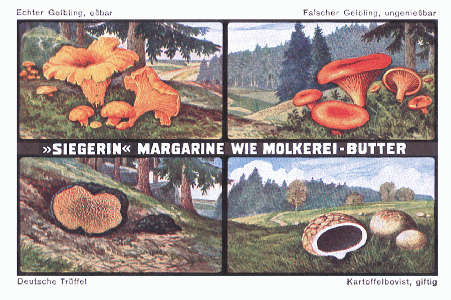Reklamebild
