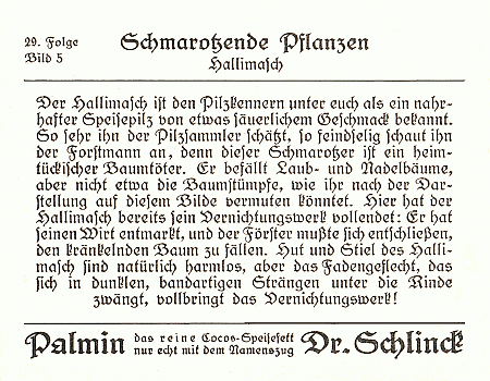 Reklamebild, R&uuml;ckseite