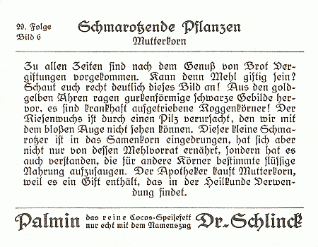 Reklamebild, R&uuml;ckseite