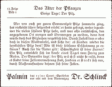 Reklamebild, R&uuml;ckseite