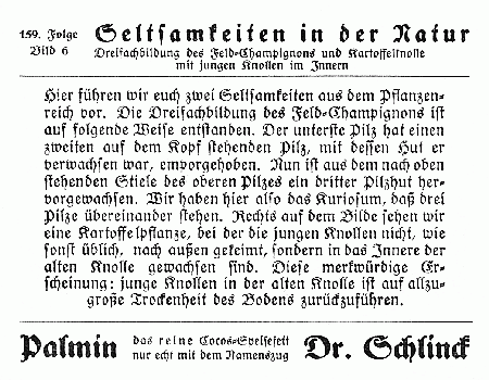 Reklamebild, R&uuml;ckseite