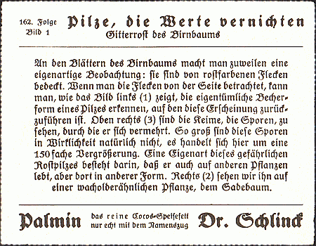 Reklamebild, R&uuml;ckseite