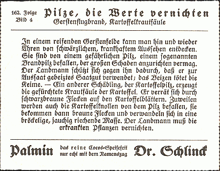 Reklamebild, R&uuml;ckseite