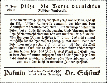 Reklamebild, R&uuml;ckseite