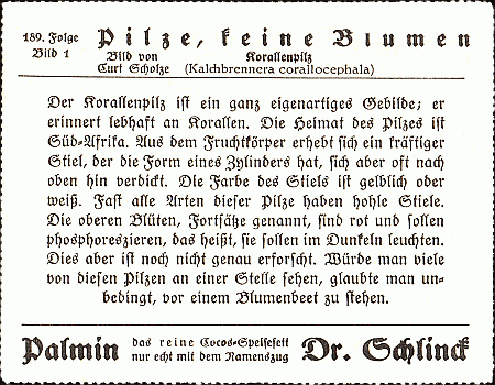 Reklamebild, R&uuml;ckseite