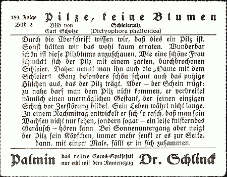 Reklamebild, R&uuml;ckseite