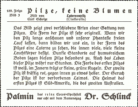 Reklamebild, R&uuml;ckseite