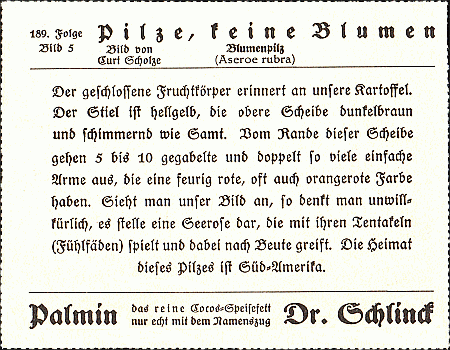 Reklamebild, R&uuml;ckseite