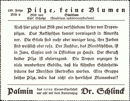 Reklamebild, R&uuml;ckseite