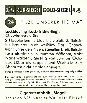 Reklamebild