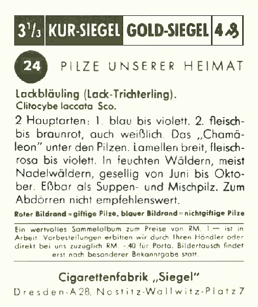Reklamebild