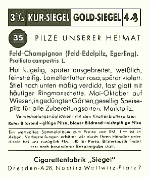Reklamebild