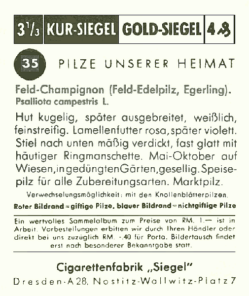 Reklamebild