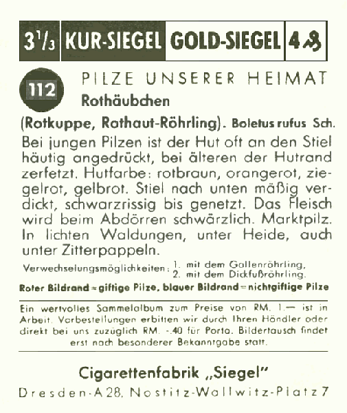 Reklamebild