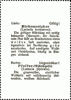 Reklamebild