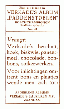 Reklamebild