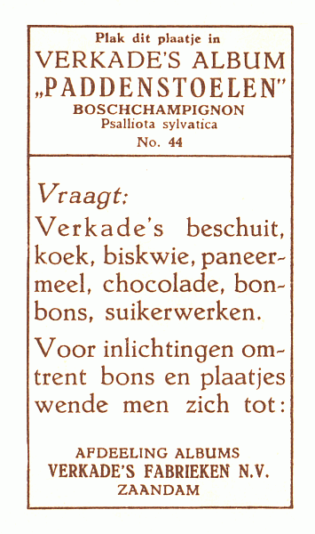 Reklamebild