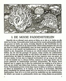 Reklamebild