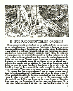 Reklamebild