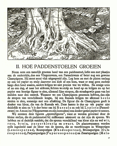 Reklamebild