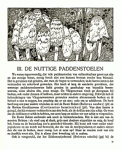 Reklamebild