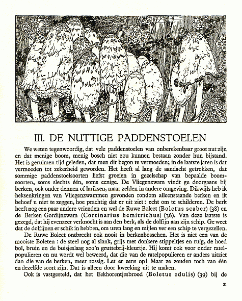 Reklamebild