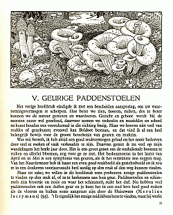 Reklamebild