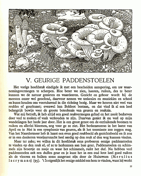 Reklamebild