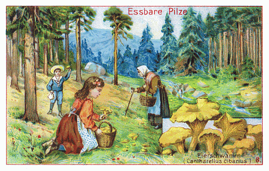 Reklamebild