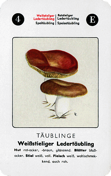 Spielkarte