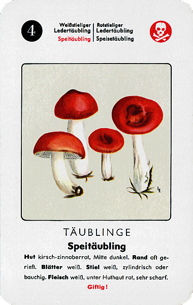 Spielkarte