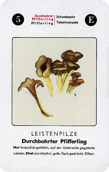 Spielkarte