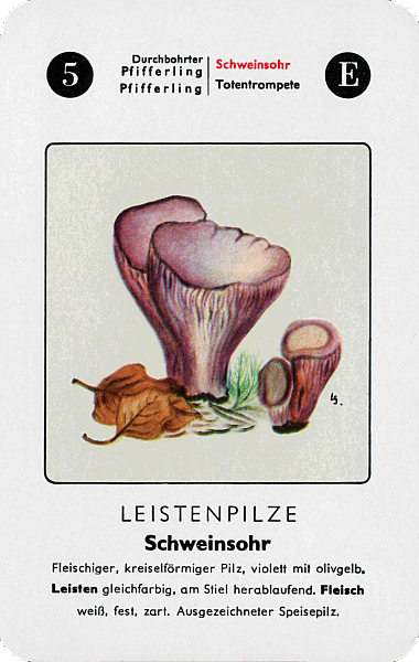 Spielkarte