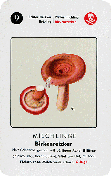 Spielkarte