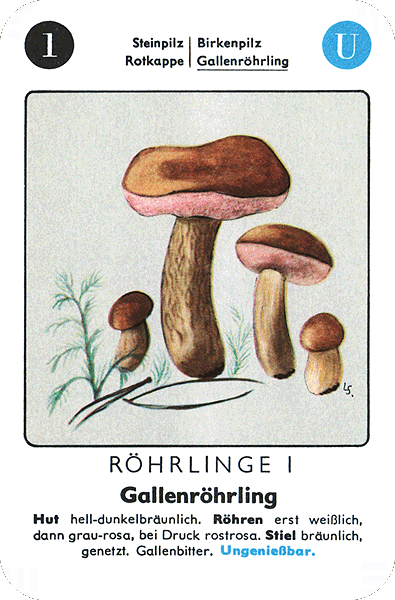 Spielkarte