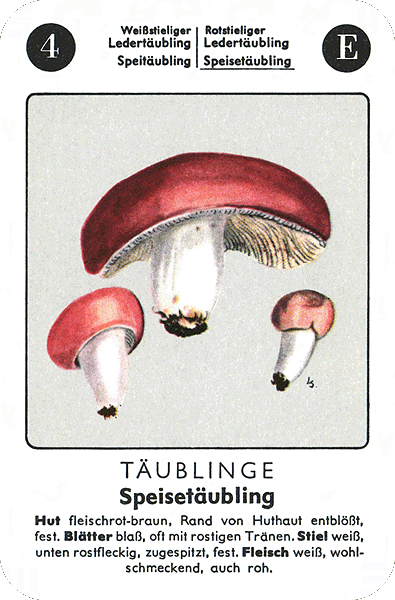 Spielkarte