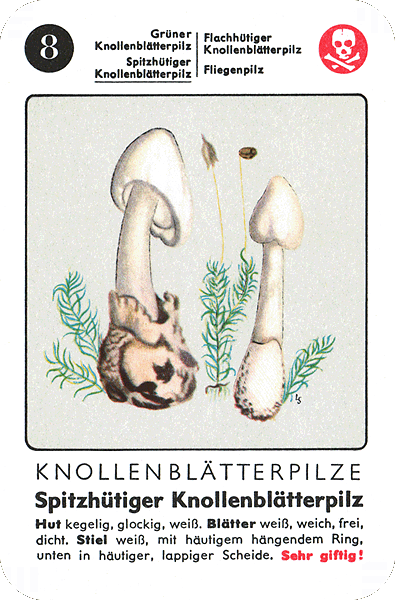 Spielkarte