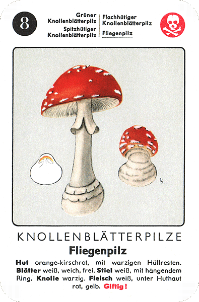 Spielkarte