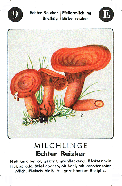 Spielkarte