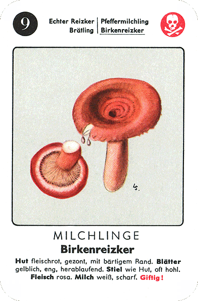 Spielkarte