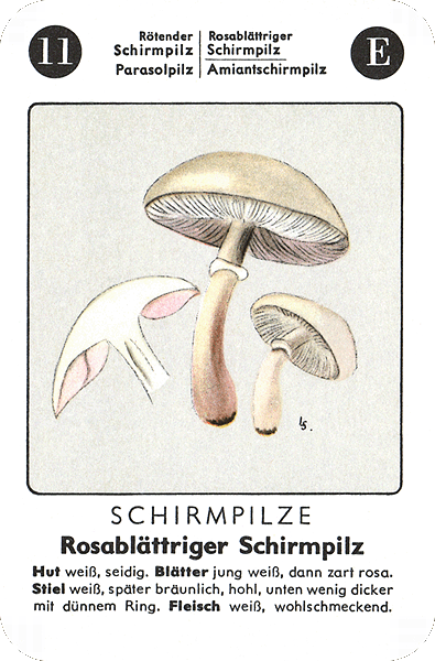 Spielkarte