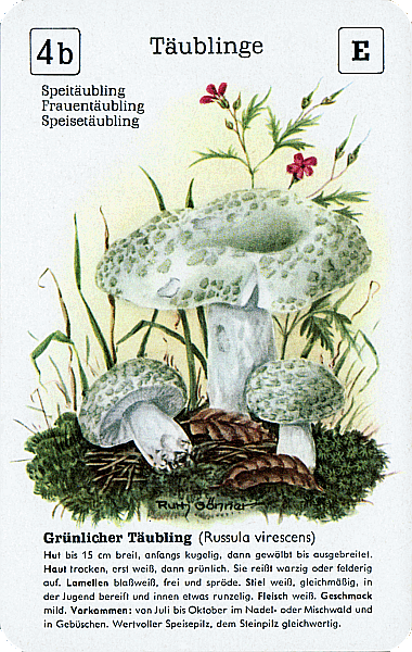 Spielkarte