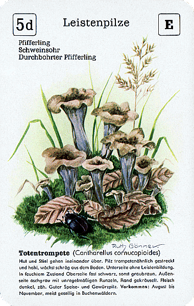 Spielkarte