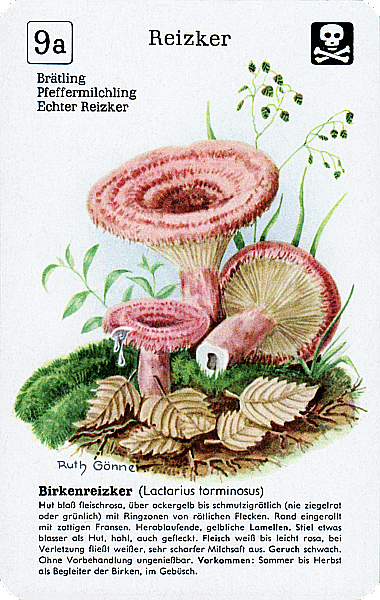 Spielkarte