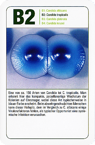 Spielkarte