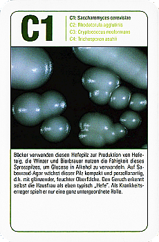 Spielkarte