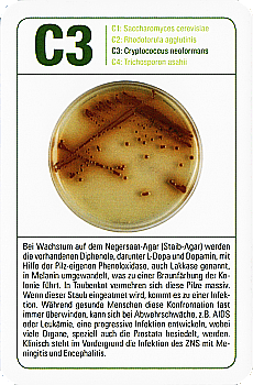 Spielkarte