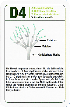 Spielkarte